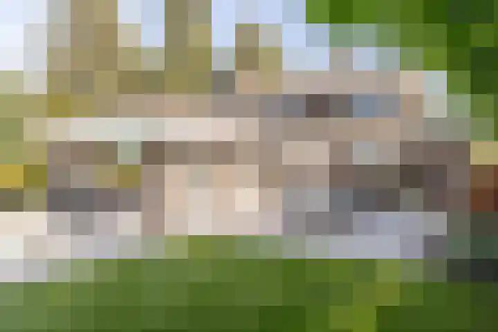 Lage Linie 9 Terheijden thumbnail 47
