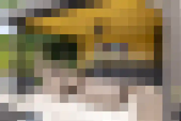 Lage Linie 9 Terheijden thumbnail 49