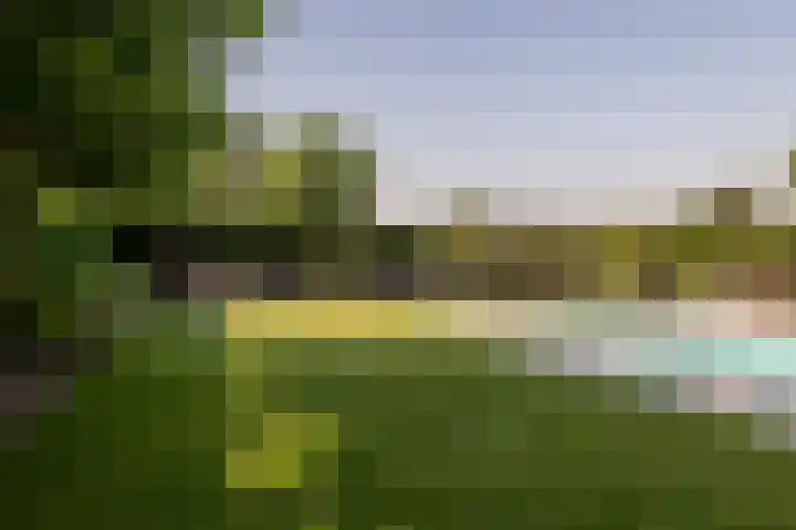 Lage Linie 9 Terheijden thumbnail 5