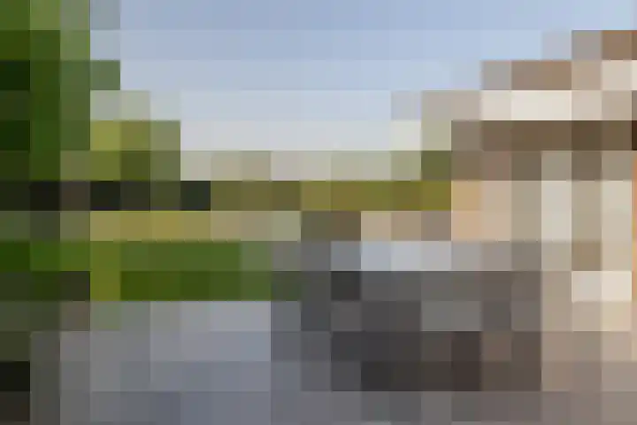 Lage Linie 9 Terheijden thumbnail 50