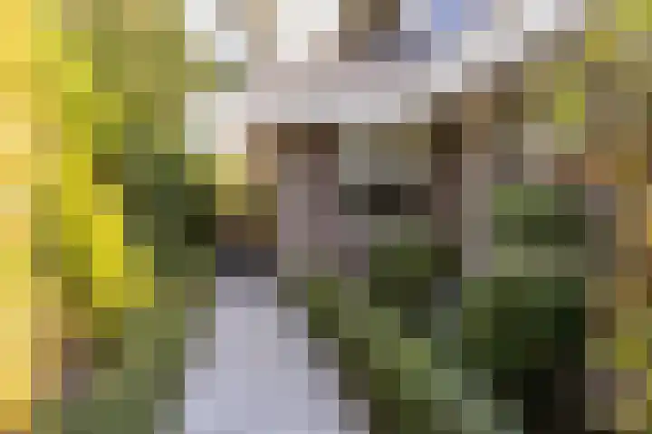 Lage Linie 9 Terheijden thumbnail 55