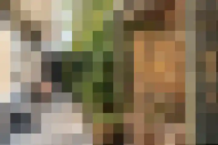 Lage Linie 9 Terheijden thumbnail 56