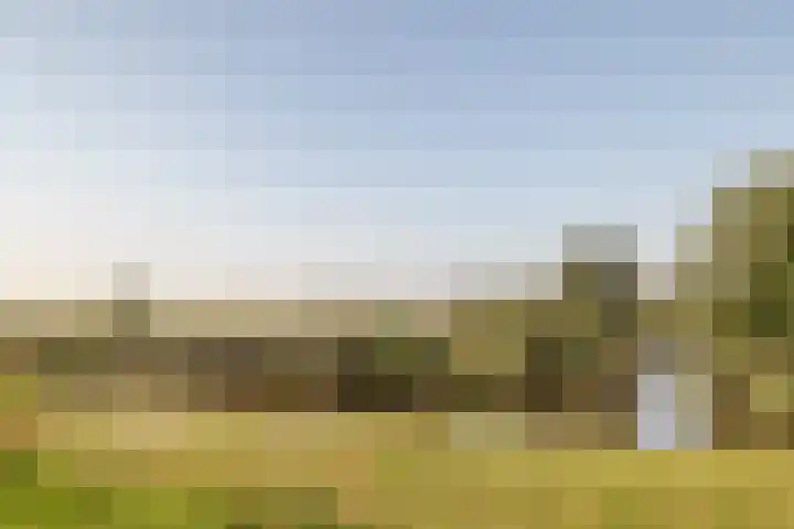 Lage Linie 9 Terheijden thumbnail 57