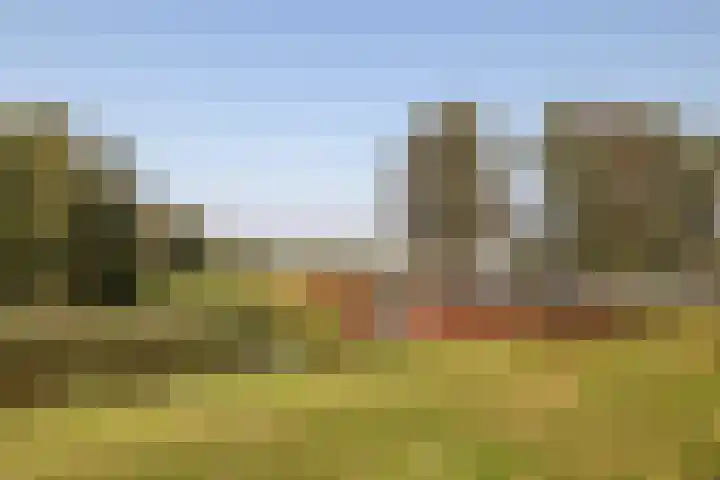 Lage Linie 9 Terheijden thumbnail 58
