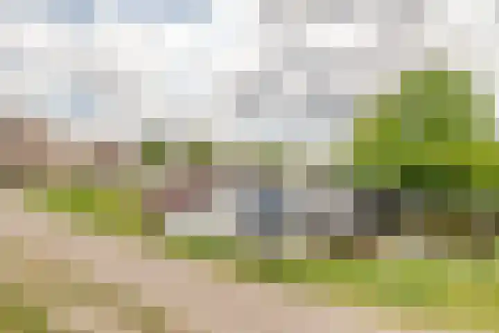 Lage Linie 9 Terheijden thumbnail 59