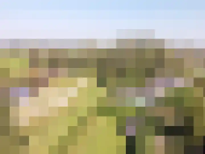 Lage Linie 9 Terheijden thumbnail 6