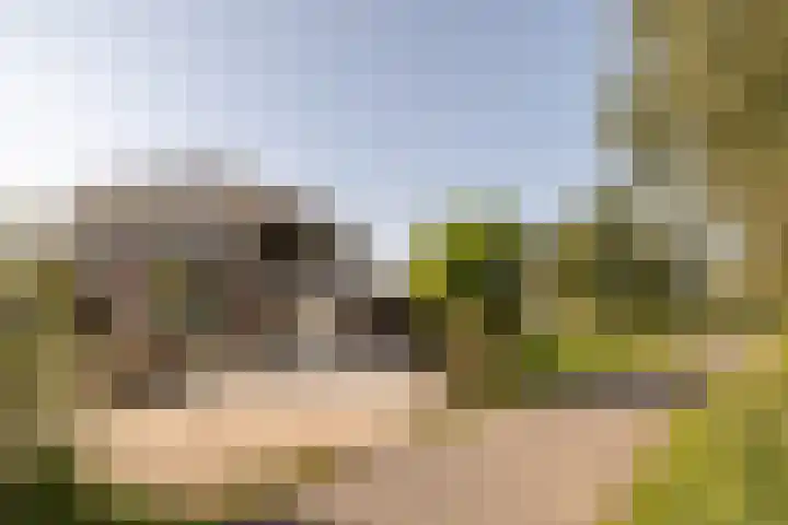 Lage Linie 9 Terheijden thumbnail 60