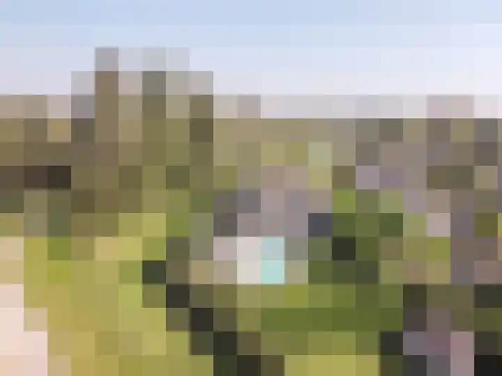 Lage Linie 9 Terheijden thumbnail 61