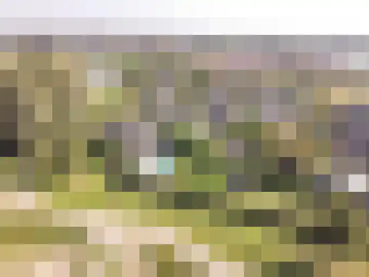 Lage Linie 9 Terheijden thumbnail 62