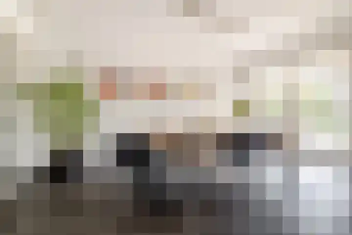 Lage Linie 9 Terheijden thumbnail 8