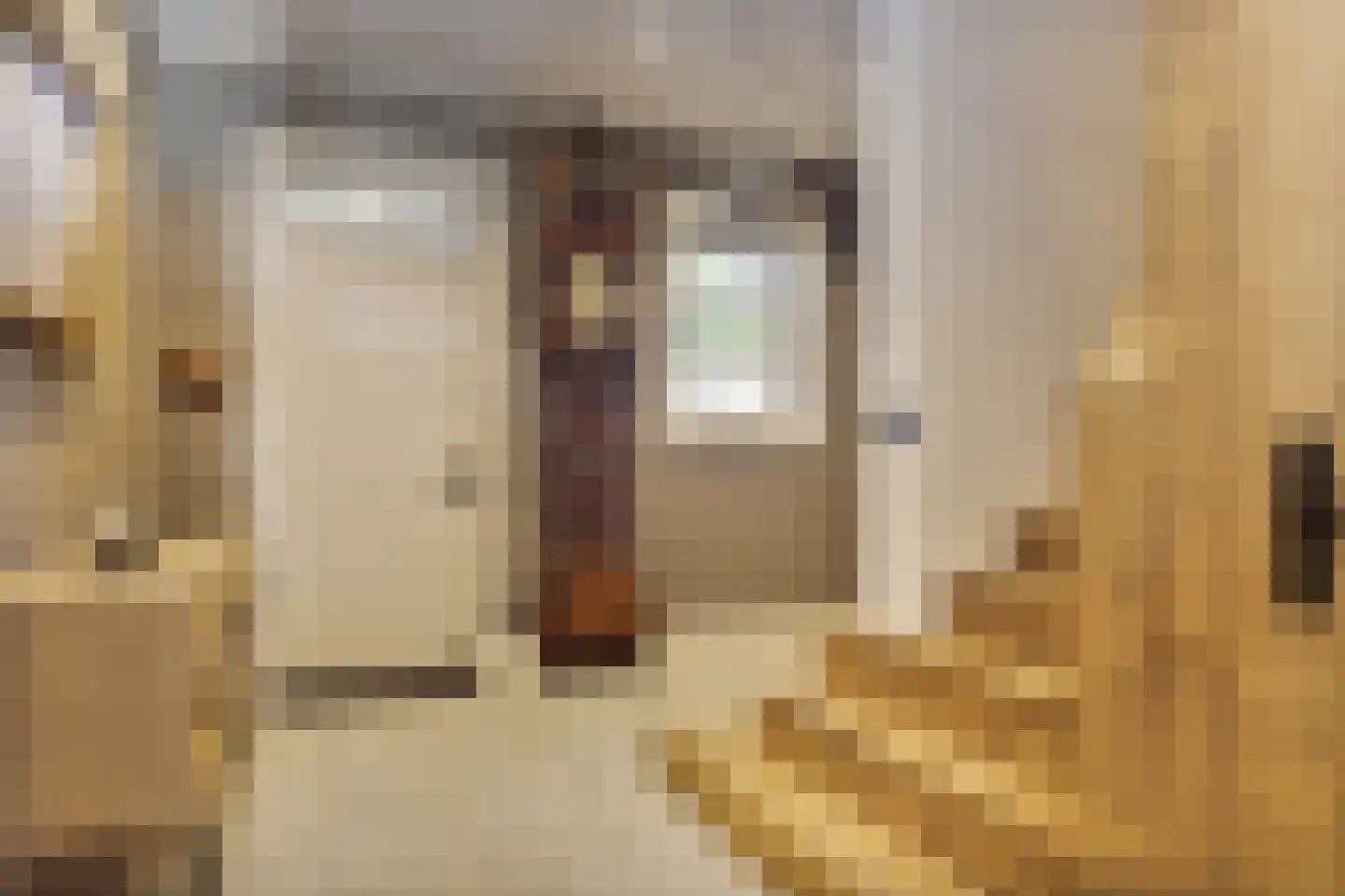 Lage Lochemseweg 31 a Almen thumbnail 25