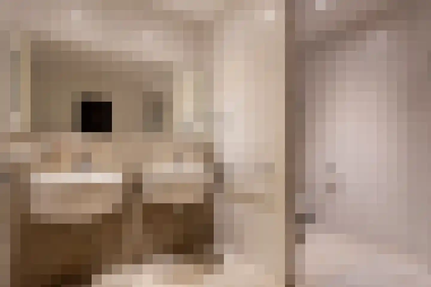 Lage Lochemseweg 31 a Almen thumbnail 32