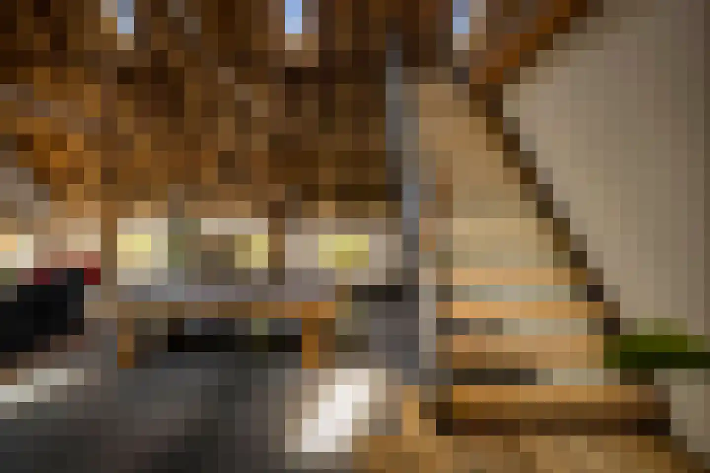 Lage Lochemseweg 31 a Almen thumbnail 47