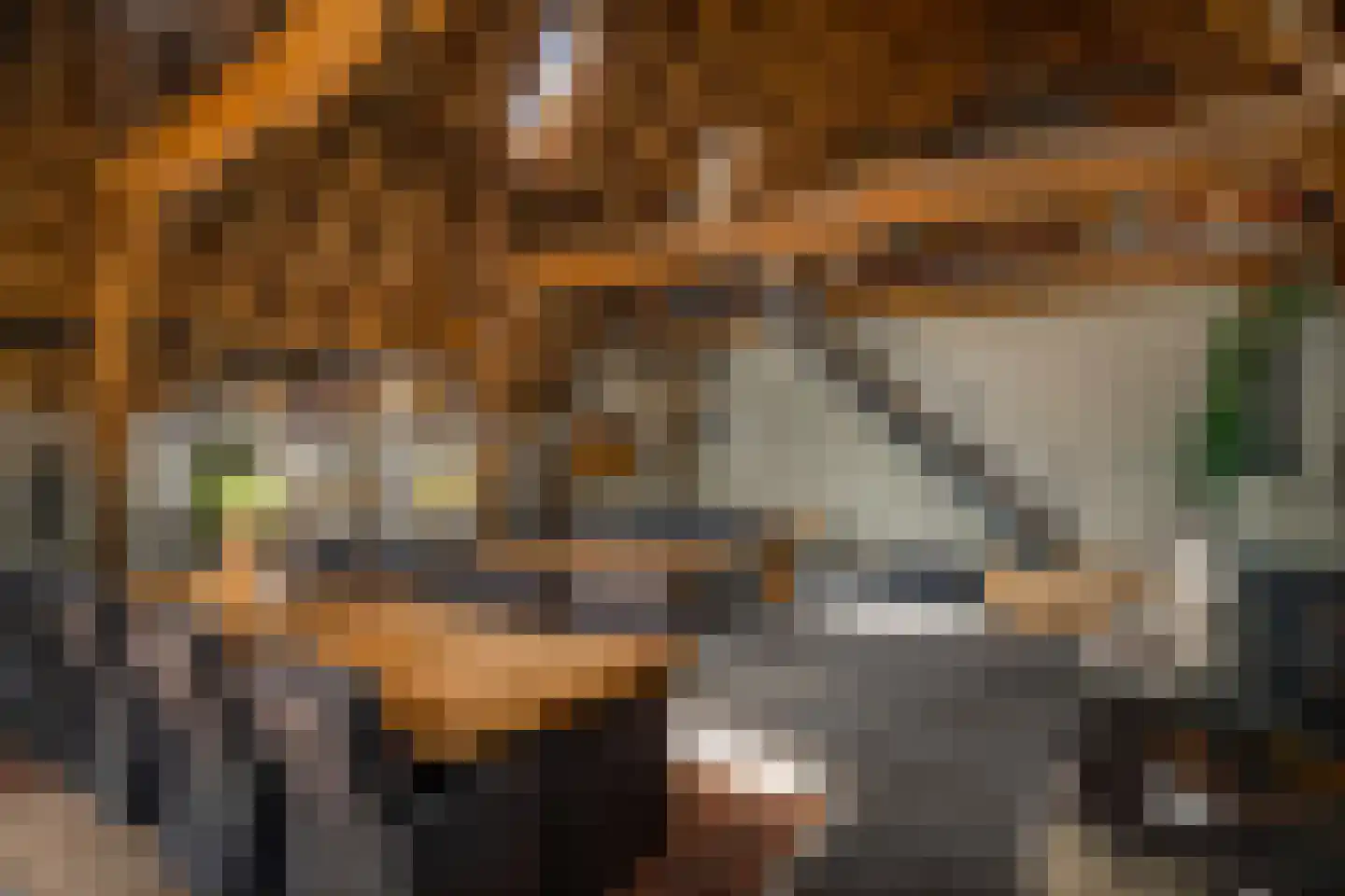 Lage Lochemseweg 31 a Almen thumbnail 48