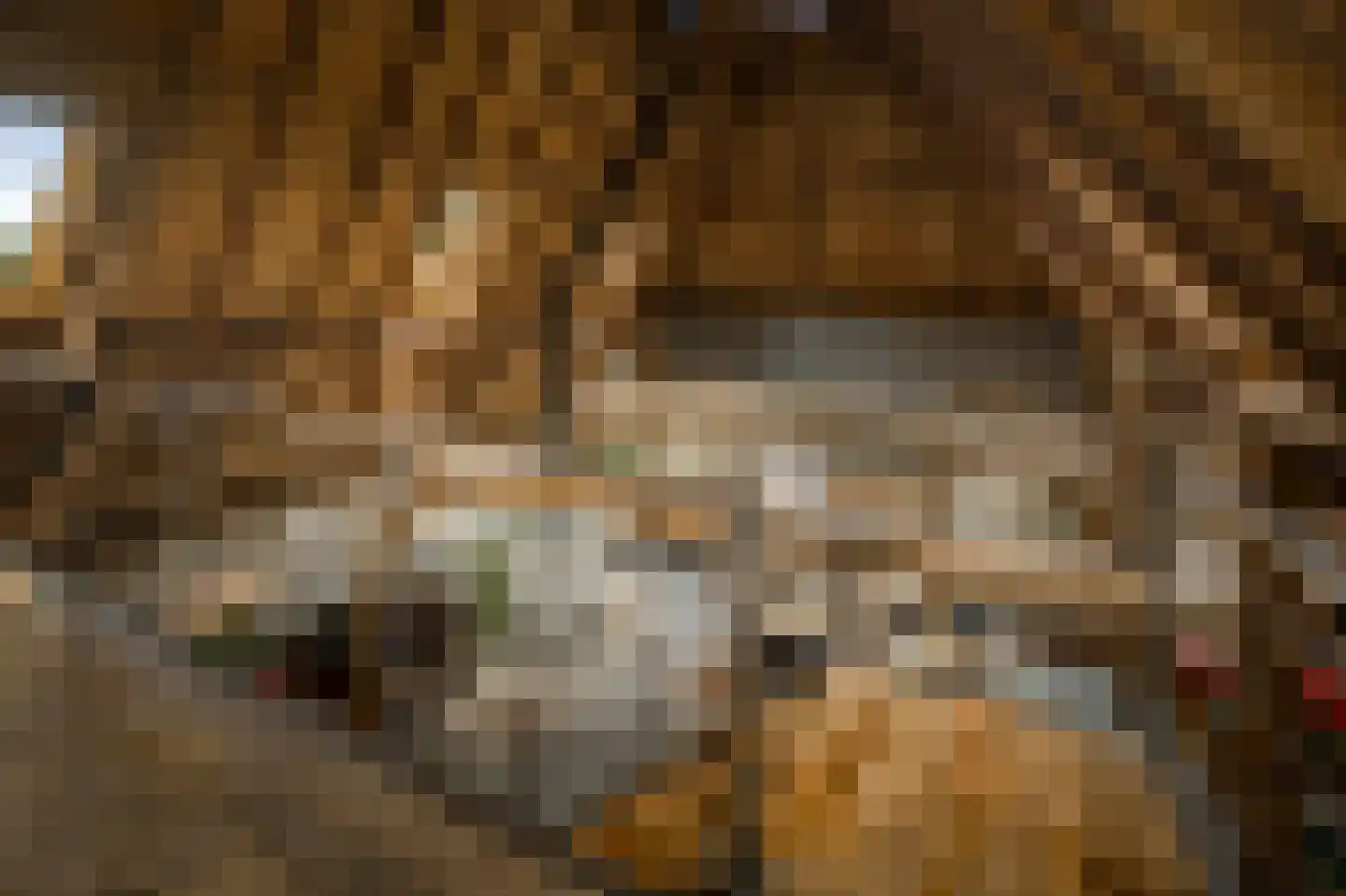 Lage Lochemseweg 31 a Almen thumbnail 49