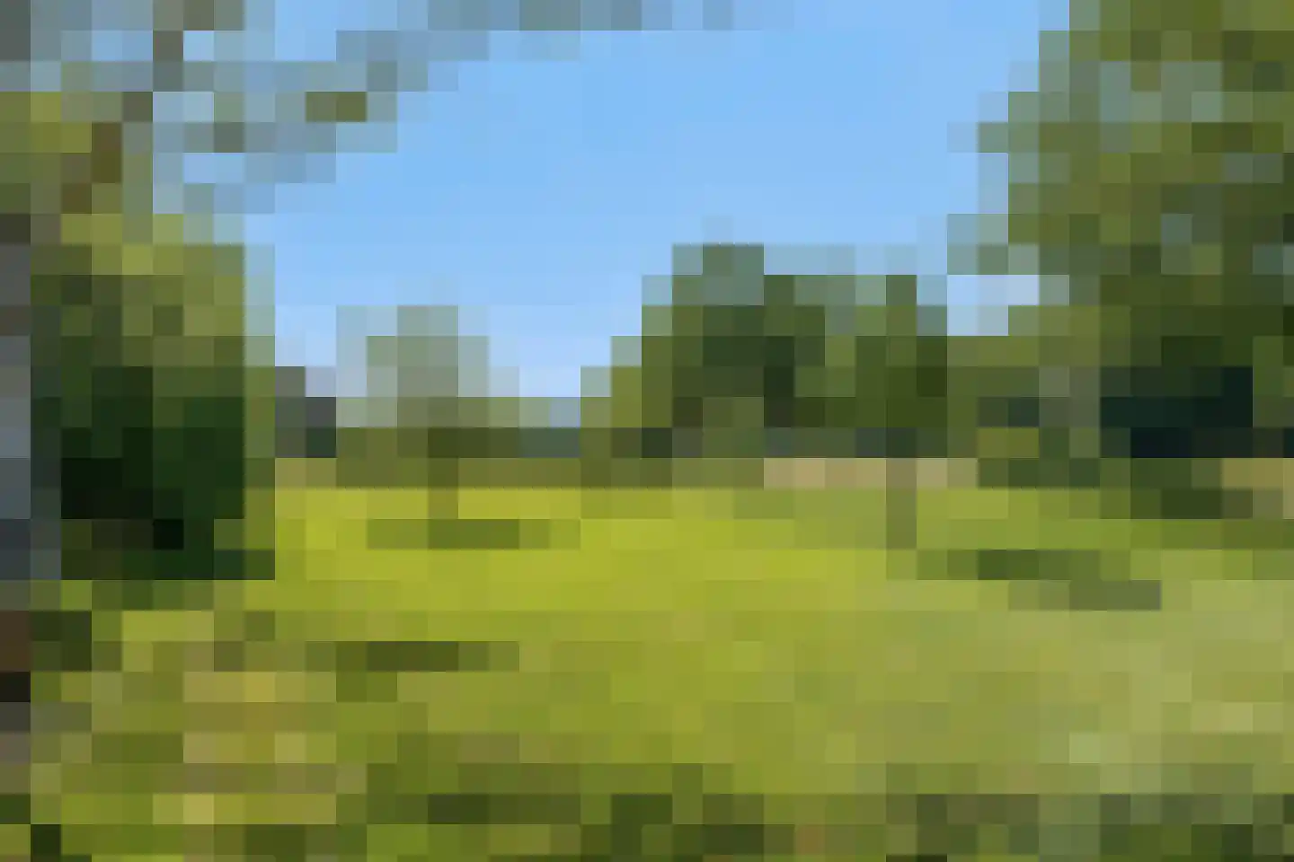 Lage Lochemseweg 31 a Almen thumbnail 64