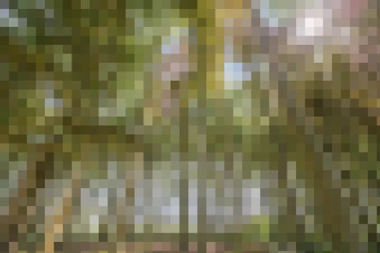 Lage Lochemseweg 31 a Almen thumbnail 67