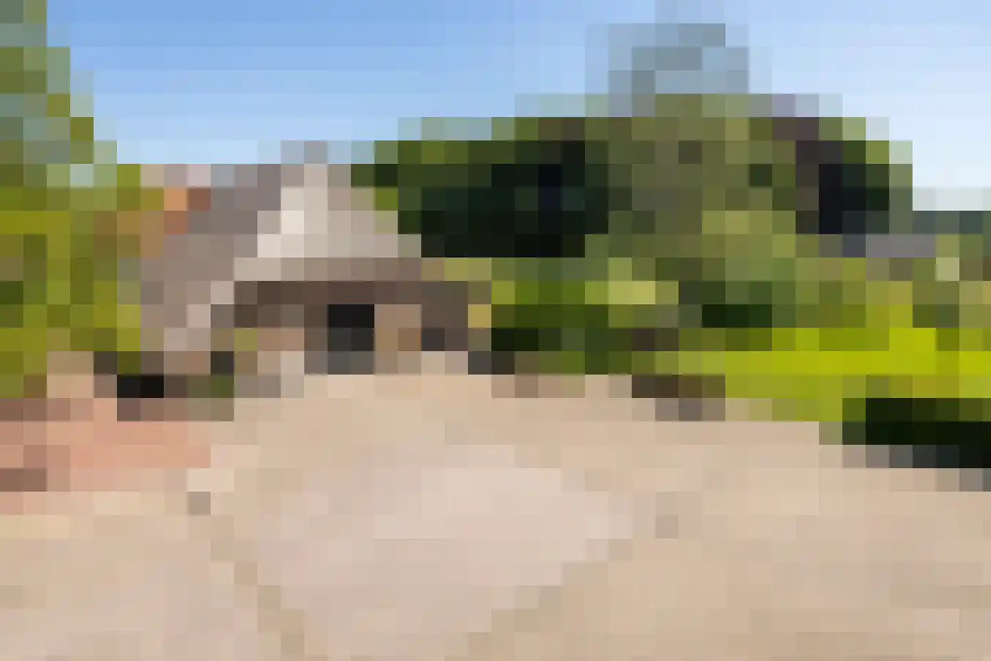 Lage Lochemseweg 31 a Almen thumbnail 74