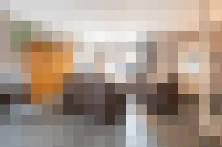 Lage Made 21 Oudenbosch thumbnail 10