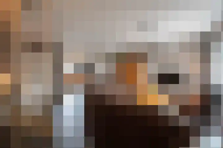Lage Made 21 Oudenbosch thumbnail 11