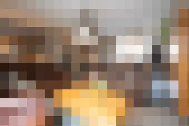 Lage Made 21 Oudenbosch thumbnail 12
