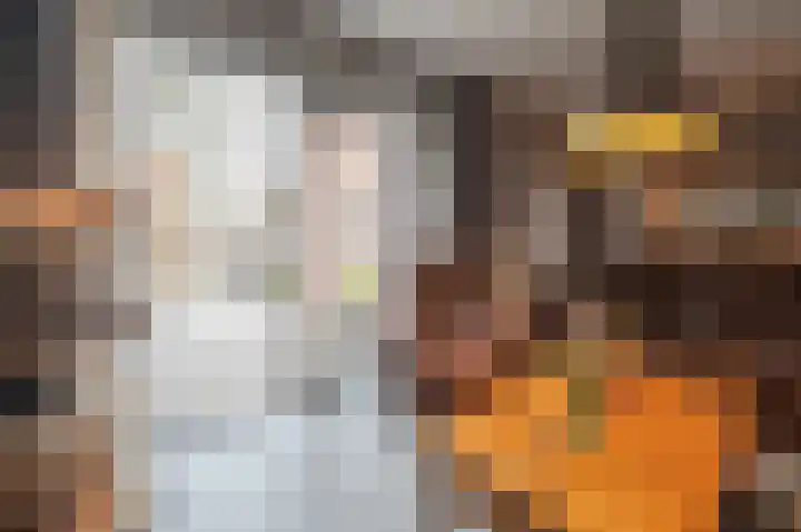 Lage Made 21 Oudenbosch thumbnail 13