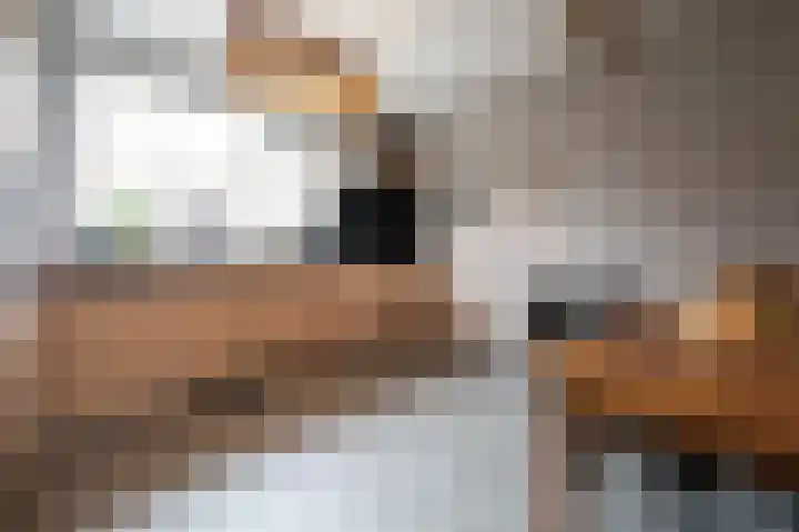 Lage Made 21 Oudenbosch thumbnail 17