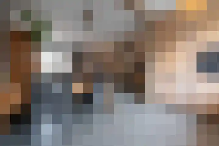 Lage Made 21 Oudenbosch thumbnail 18
