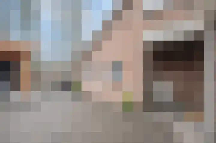 Lage Made 21 Oudenbosch thumbnail 22