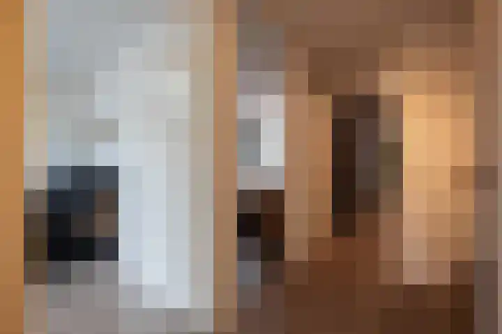 Lage Made 21 Oudenbosch thumbnail 29