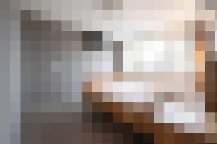 Lage Made 21 Oudenbosch thumbnail 31