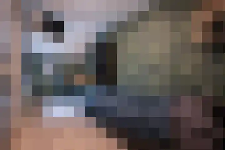 Lage Made 21 Oudenbosch thumbnail 38