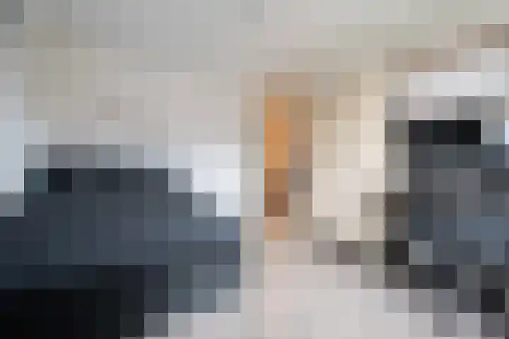 Lage Made 21 Oudenbosch thumbnail 41