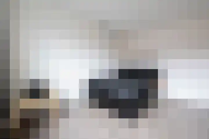 Lage Made 21 Oudenbosch thumbnail 42