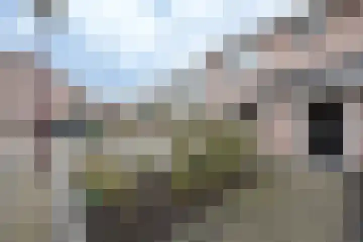 Lage Made 21 Oudenbosch thumbnail 6