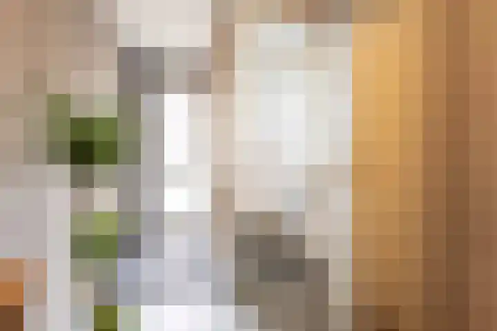 Lage Made 21 Oudenbosch thumbnail 7