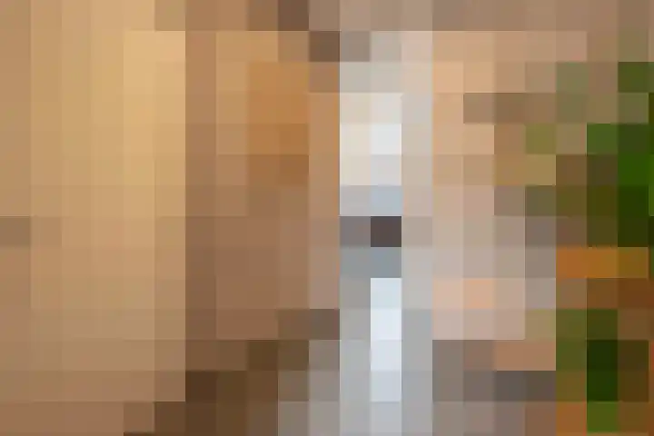 Lage Made 21 Oudenbosch thumbnail 8