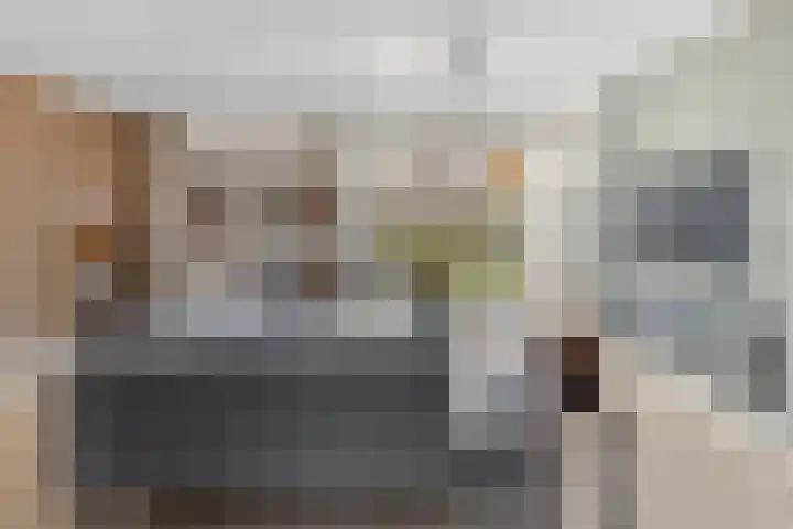 Lage Made 7 Oudenbosch thumbnail 10