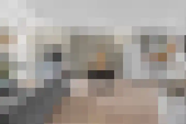 Lage Made 7 Oudenbosch thumbnail 11