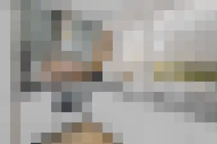 Lage Made 7 Oudenbosch thumbnail 15