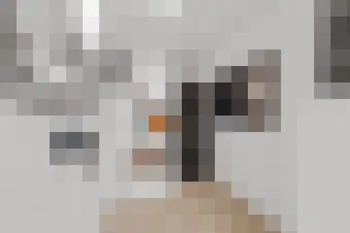 Lage Made 7 Oudenbosch thumbnail 17