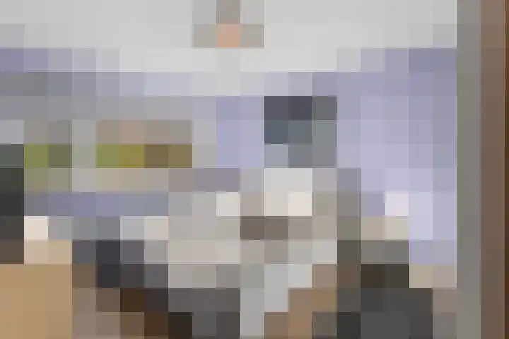 Lage Made 7 Oudenbosch thumbnail 19