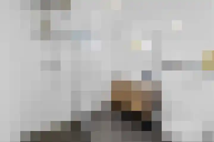 Lage Made 7 Oudenbosch thumbnail 21