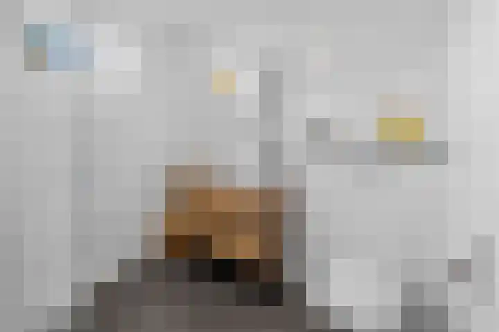 Lage Made 7 Oudenbosch thumbnail 22
