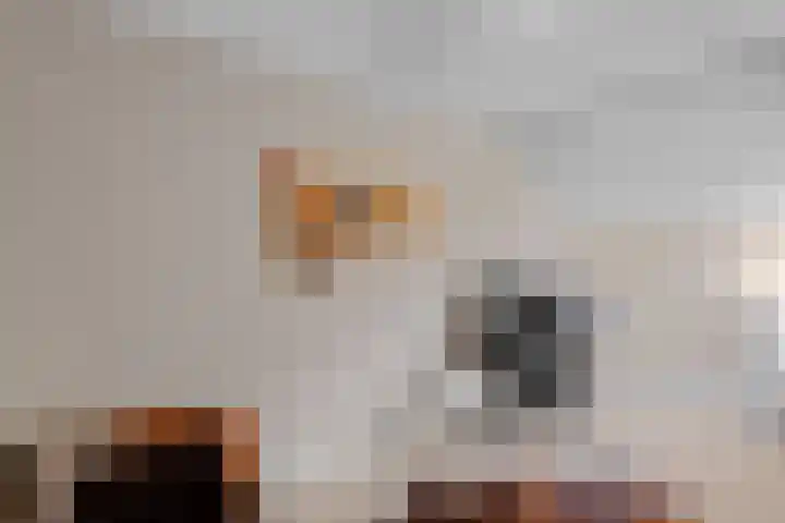 Lage Made 7 Oudenbosch thumbnail 26