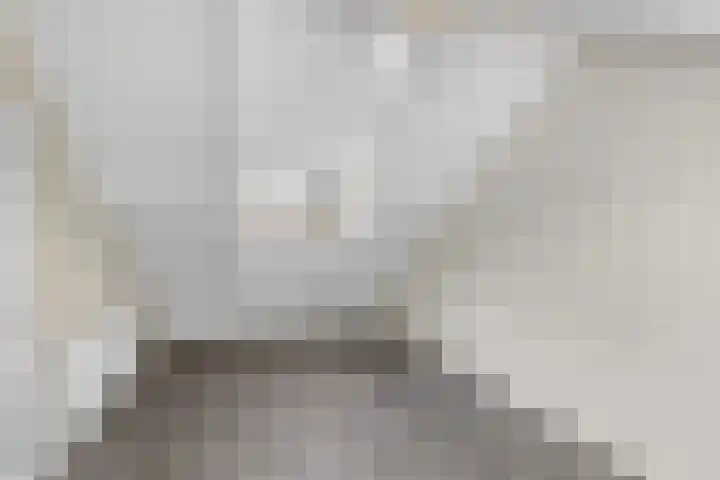 Lage Made 7 Oudenbosch thumbnail 28