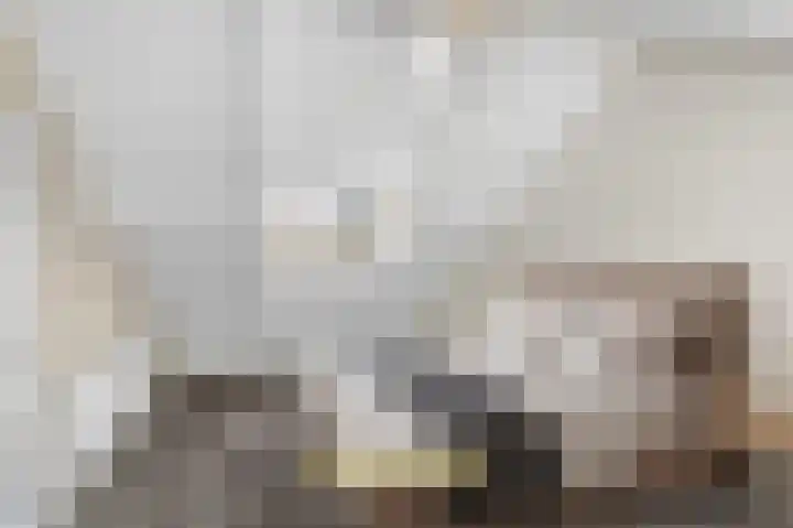 Lage Made 7 Oudenbosch thumbnail 29