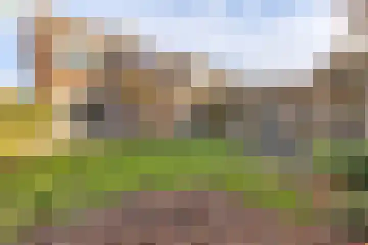 Lage Made 7 Oudenbosch thumbnail 30