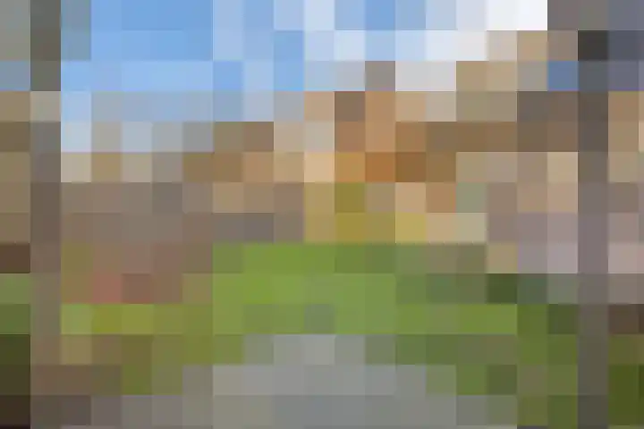 Lage Made 7 Oudenbosch thumbnail 32