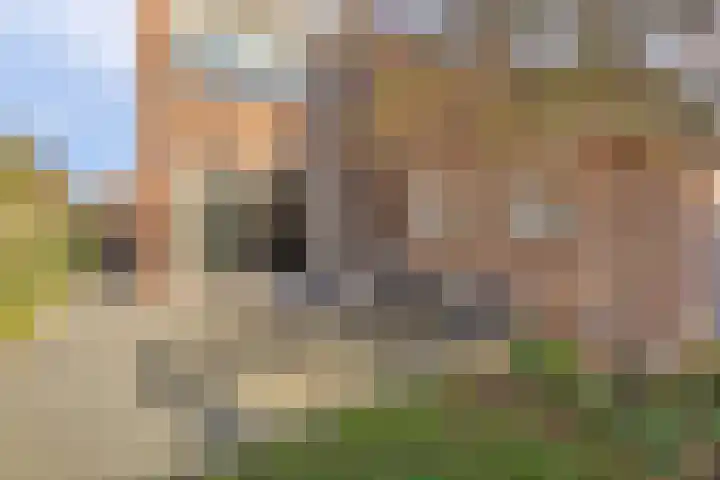 Lage Made 7 Oudenbosch thumbnail 33